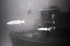 Wreck dive off Miami; 1992. Millard Berry, Nick Berry, Tom Butler. Tmax 100 B&W film with high contrast developer.