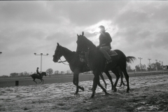 In 1977 Northville Downs held full racing. We followed the days of jockey Ramon Perez on the course, in practice and behind the scenes.